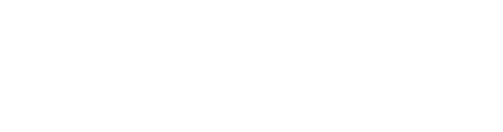 Logo Deltanet Blanco